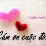 Cảm Ơn Đi, Bạn Sẽ Thấy Nhẹ Lòng …