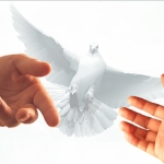 Những Con Đường Không Lát Đá