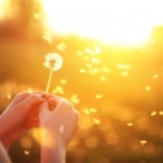 3 Từ Nên Nhớ Trong Đầu Để Bạn Sống An Vui