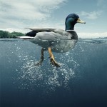 Người Khác Nhìn Thấy Bạn