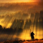 Chỉ có sự KIÊN TRÌ mới giúp bạn TIẾN XA