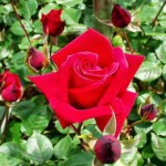 Đừng Trở Thành Người Vô Danh