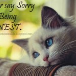 15 Điều Bạn Không Cần Nói Xin Lỗi