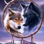 Những Con Sói Trong Tâm Hồn