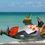 Đừng Phiền Muộn