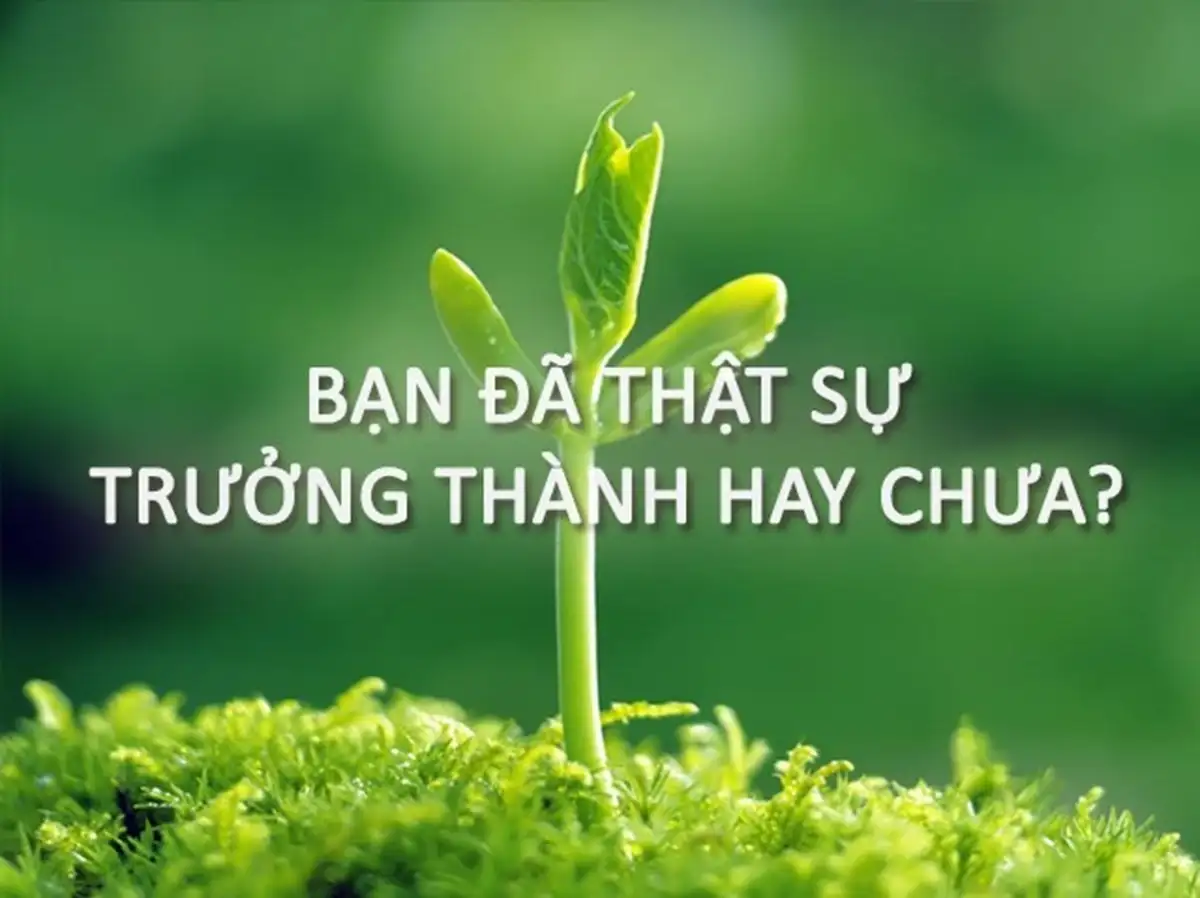 25 Bài Học Sống Còn Về Sự Trưởng Thành